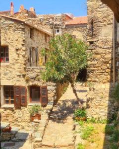 an old stone building with a tree in front of it at Appartement médiéval au cœur du village de Lama in Lama