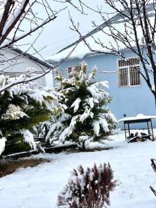 a snow covered tree in a yard with a bench at AkbA-Frame1 in İsmayıllı