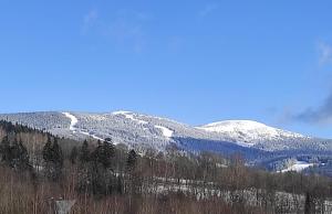 ロキトニツェ・ナト・イゼロウにあるApartmány StudenOFFの雪山
