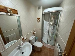 La salle de bains est pourvue d'une douche, de toilettes et d'un lavabo. dans l'établissement APARTAMENTOS MATEO, à Rillo de Gallo
