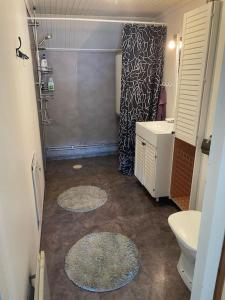a bathroom with a shower and a toilet and a sink at 30 min from Northvolt/5 min from Boliden in Boliden