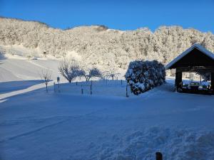 BučeにあるFrancek house Podčetrtekの雪に覆われた庭
