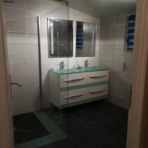 a bathroom with a sink and a glass shower at LA SAUVETAT-Yvou in Blanquefort-sur-Briolance