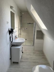 a bathroom with a sink and a shower in a attic at Pension Nordwind in Hedwigenkoog