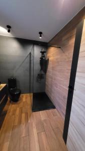a bathroom with a black toilet and a glass wall at Dalekie Niebo - przytulny dom wczasowy 