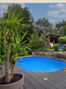 a swimming pool in a garden with a palm tree at Ferienwohnung Etzelbach in Etzelbach