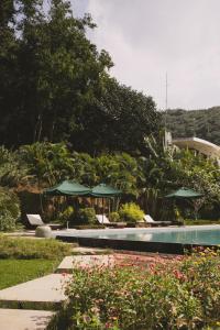 a swimming pool with green umbrellas and flowers at Villa La Plantation in Kampot