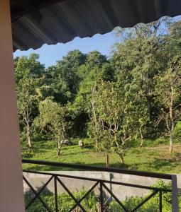 vista su un campo con animali tra gli alberi di Madhuban Resort a Sauraha