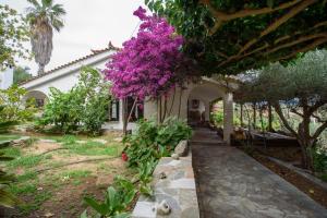 Zahrada ubytování Farm Villa Dova + 6 fotografií