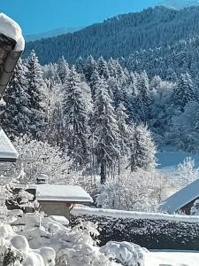 La Petite Maison v zime