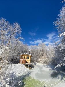 a cabin in the woods in the snow at Cabana vânătorului in Râşnov