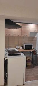 a kitchen with a counter top with a microwave at Apartament Śnieżka in Zakopane