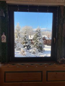 ラシュノフにあるCabana vânătoruluiの雪に覆われた庭を望む窓