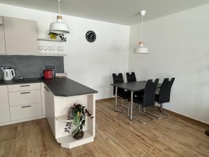 Kuchyň nebo kuchyňský kout v ubytování Apartmán U lesa