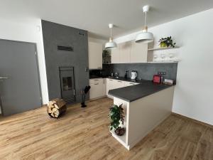 Kuchyň nebo kuchyňský kout v ubytování Apartmán U lesa