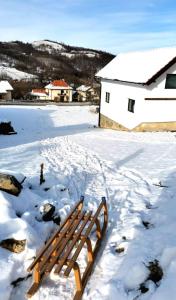 Miris planine Rudnik durante l'inverno