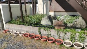 a row of flower pots lined up in a garden at 和室+洋室+日本酒飲放題/Premier Guest House 