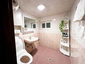 y baño con aseo y lavamanos. en QQQ 3room spacious house at Jamsil en Seúl