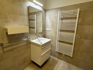 Koupelna v ubytování Apartmán U lesa