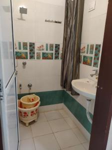 巴羅達的住宿－HOTEL NEW SHIVAY，一间带卫生间和水槽的浴室