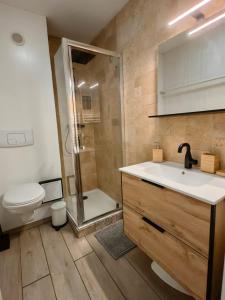 ein Bad mit einem WC, einem Waschbecken und einer Dusche in der Unterkunft Grand studio 4 à 6 personnes, au pied des pistes in Vars