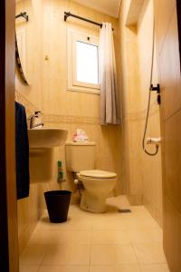 カイロにあるLuxury 3BR in the heart of Mohandseenのバスルーム(トイレ、洗面台付)、窓が備わります。