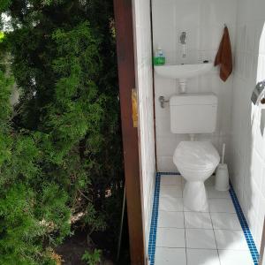 bagno con servizi igienici e lavandino di Apartman Orgona a Siófok