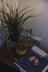 a book on a table next to a potted plant at Limon Inn Hotel, Taşucu in Tasucu