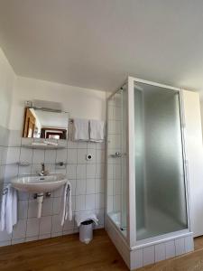 Hotel Ristorante Lagrev的一间浴室