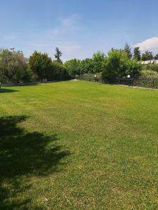 Príroda v okolí apartmánu