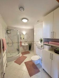 uma casa de banho com um chuveiro, um WC e um lavatório. em Útulný byt v centru Pece em Trutnov
