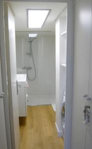 uma casa de banho com um chuveiro, um lavatório e um WC. em LE REGRATTIER ST LOUIS em Paris