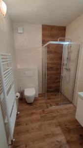 a bathroom with a toilet and a shower in it at Apartmán Stodola in Malá Morávka
