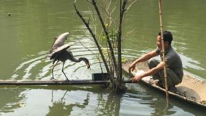 un hombre sentado en el agua con un pájaro en el agua en Thung lũng xanh Tràng An en Nguyên Ngoại