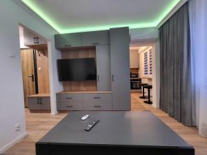 Μια τηλεόραση ή/και κέντρο ψυχαγωγίας στο Handy Apartamenty - Mieszkania na Doby w Centrum Rzeszowa