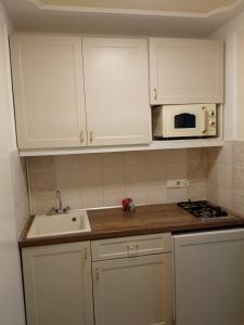 Kuchyňa alebo kuchynka v ubytovaní Apartman Orgona