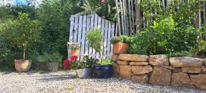 a garden with potted plants and a fence at Gemütliche Waldrandlage in Badenweiler Sehringen Ferienwohnung in Badenweiler