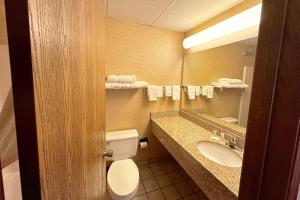 a bathroom with a toilet and a sink and a mirror at Travelodge by Wyndham Rapid City - Black Hills in Rapid City