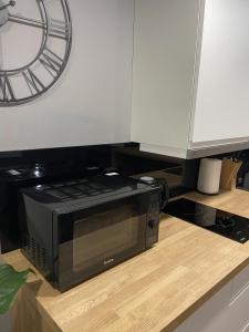 a microwave oven sitting on top of a kitchen counter at Apartament Rose Valley Dwa Zero in Szczytna