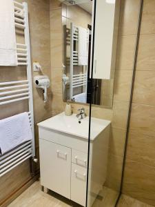 La salle de bains est pourvue d'un lavabo blanc et d'une douche. dans l'établissement Casa Lazar, à Topliţa