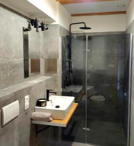 La salle de bains est pourvue d'un lavabo et d'une douche. dans l'établissement Rezidence Valcha, à Sušice