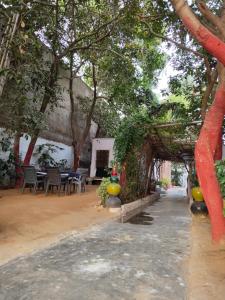 an outdoor area with tables and chairs and trees at Hotel Old Moon Cafe in Pushkar