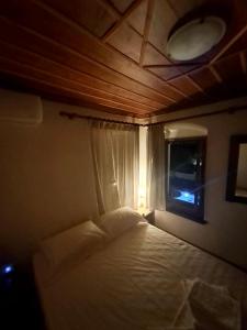 1 dormitorio con cama y ventana con luz en Xinovrissi Apts & Pool, en Xinóvrisi