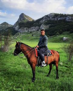 波德戈里察的住宿－Katun Mokra accommodation & horseback riding，坐在田野里马的人
