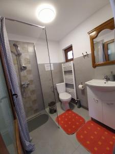ein Bad mit einer Dusche, einem WC und einem Waschbecken in der Unterkunft Casa Stefi si Alexia in Polovragi