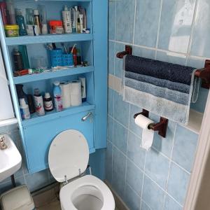 Alys apartment في لندن: حمام مع خزانة زرقاء فوق المرحاض
