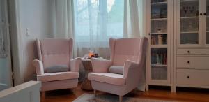 two pink chairs in a room with a window at Ferienwohnung Madlein in Rehna