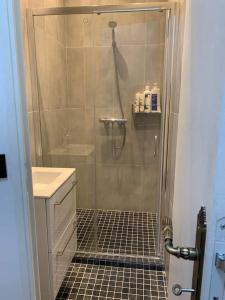 eine Dusche mit Glastür neben einem Waschbecken in der Unterkunft Appartement 3 chambres Paris 7e in Paris