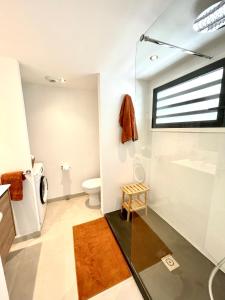uma casa de banho com um WC e um lavatório em Cottage Sable et Soleil em Anse Marcel 