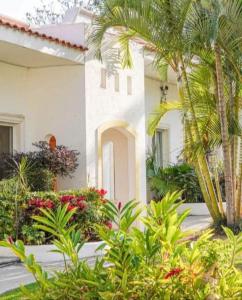 a white house with a palm tree in front of it at era hc in Cuernavaca